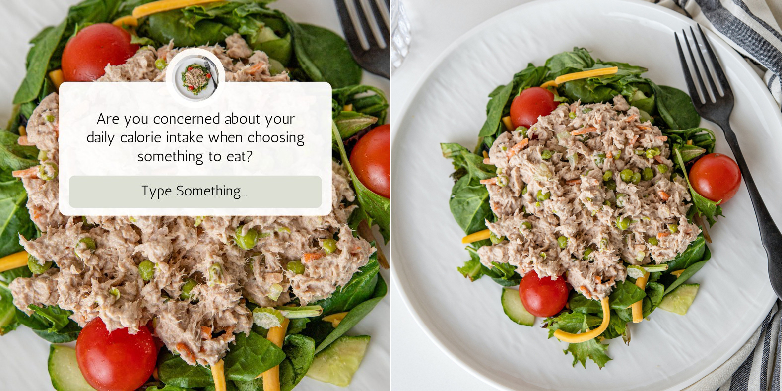 what caloirie plan should i choose with my tuna salad